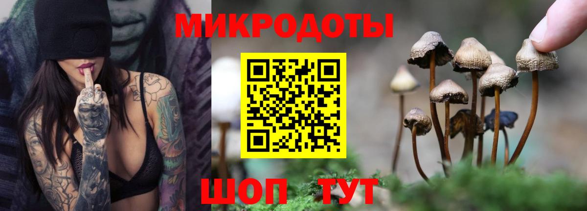Галлюциногенные грибы Psilocybine cubensis  Галлюциногенные грибы Psilocybe  Вход с VPN  Сосновоборск 